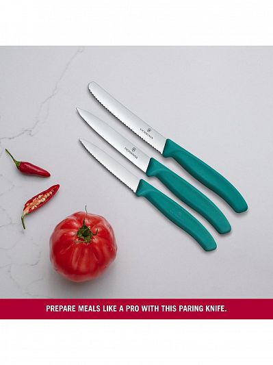 Набор ножей для овощей Victorinox Swiss Classic, 3 предмета, 6.7114.34C1 зеленый
